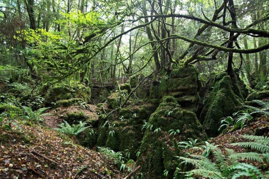 Welsh Newton Common The Cider House Holiday Cottage מראה חיצוני תמונה
