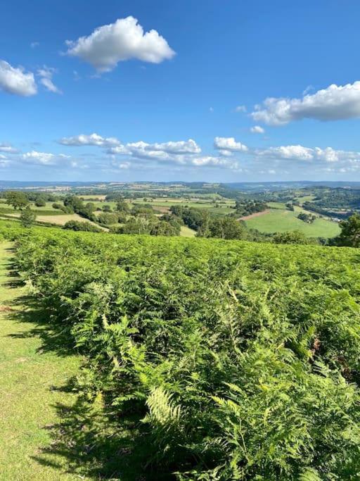 Welsh Newton Common The Cider House Holiday Cottage מראה חיצוני תמונה